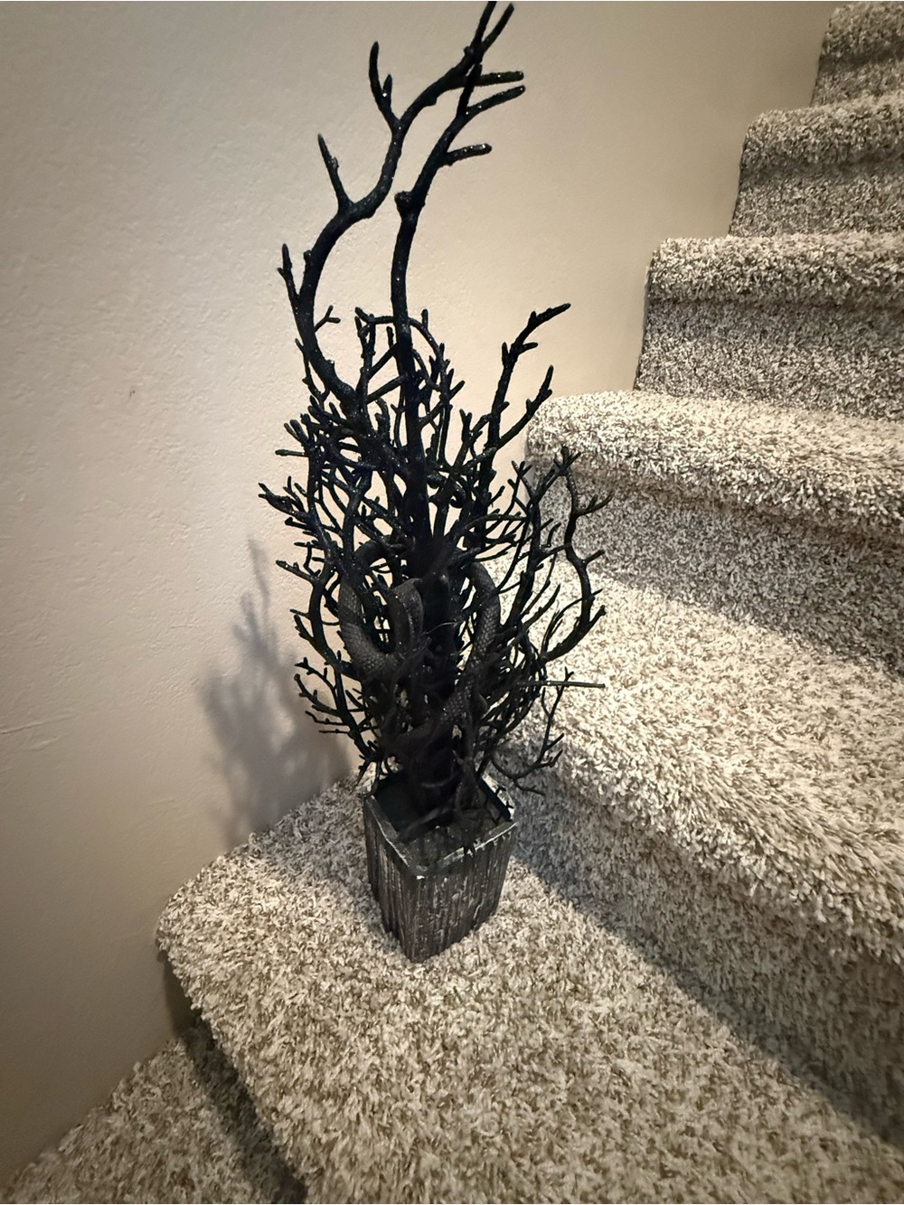 Black Decorative  snake  tree